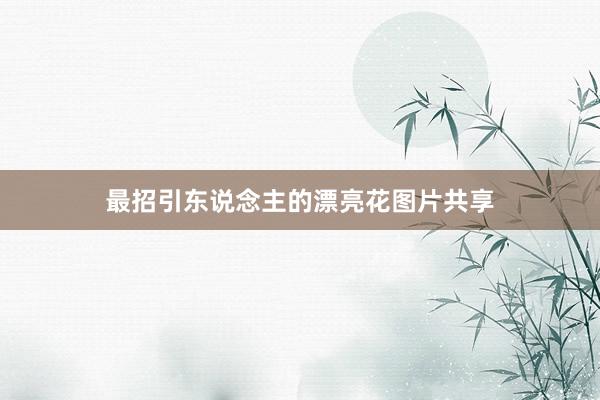 最招引东说念主的漂亮花图片共享